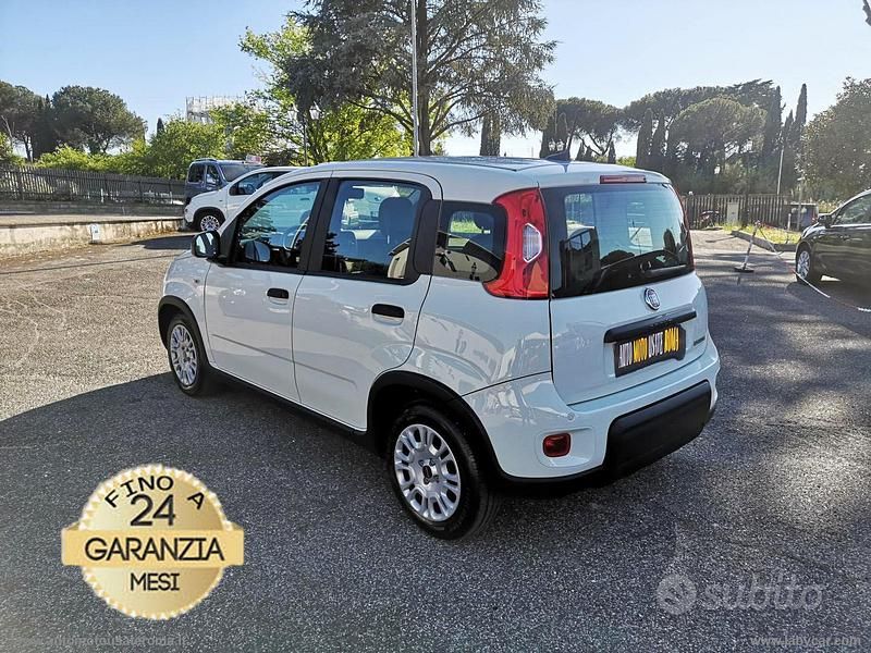 Occasion Fiat Panda S 70 ch (51 kW) 2023 Blanc Citadine