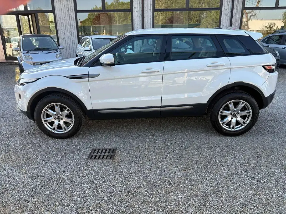 Usata Land Rover Range Rover evoque Pure 150 CV (110 kW) 2013 Bianco SUV