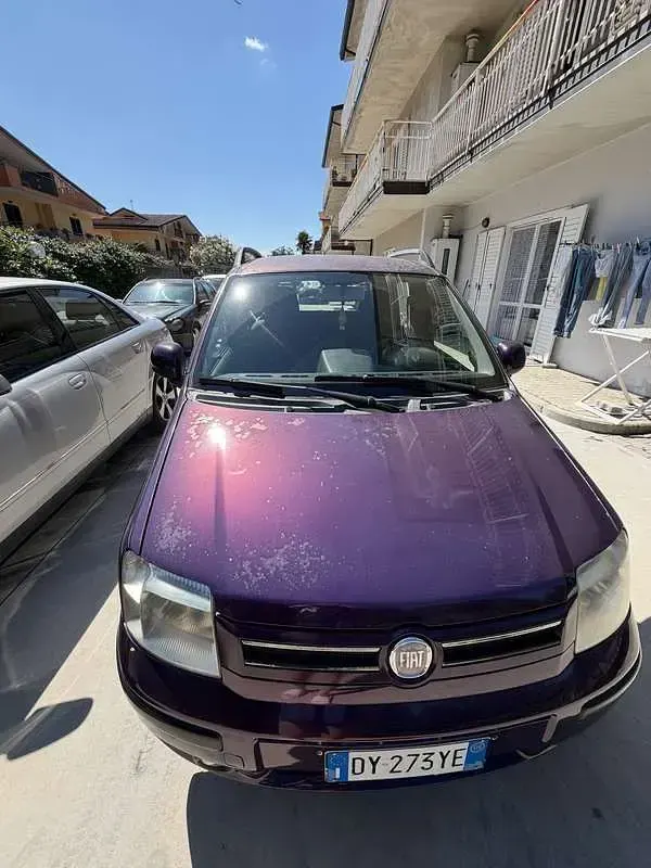 Usata Fiat Panda Dynamic 60 CV (44 kW) 2009 Lilla Utilitaria