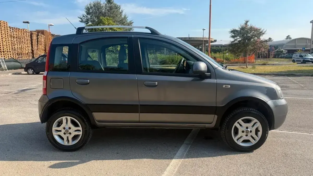 Usata Fiat Panda 4x4 Climbing 75 CV (55 kW) 2011 Utilitaria