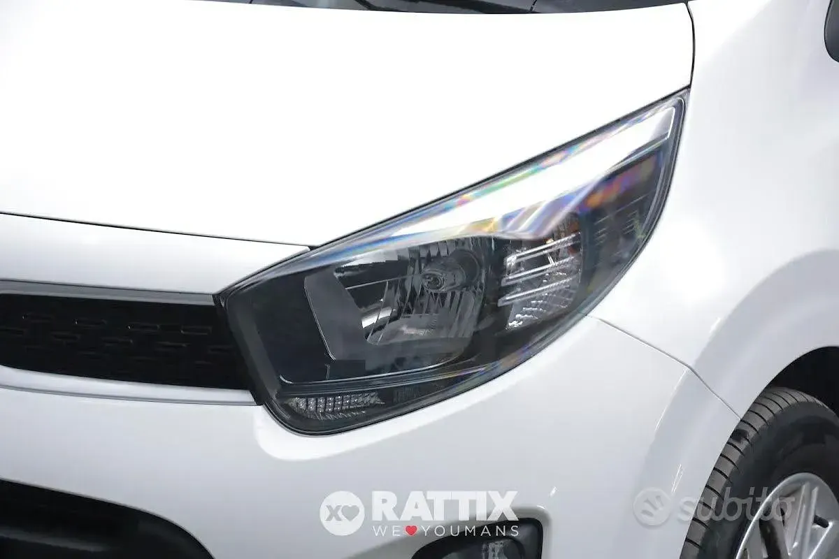 Usata Kia Picanto Urban 67 CV (49 kW) 2024 Bianco Utilitaria