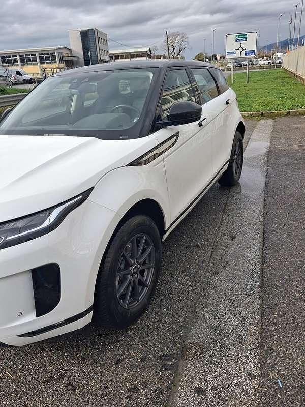 Usata Land Rover Range Rover evoque 150 CV (110 kW) 2019 Bianco SUV