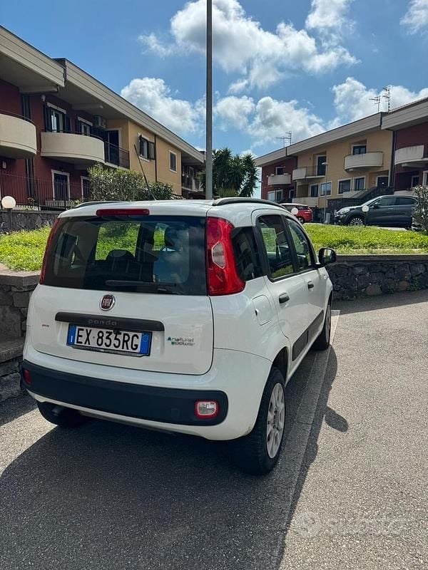 Usata Fiat Panda 85 CV (62 kW) 2015 Utilitaria