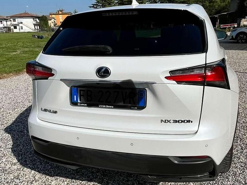 Usata Lexus NX300h Sport Line 155 CV (114 kW) 2015 Bianco SUV