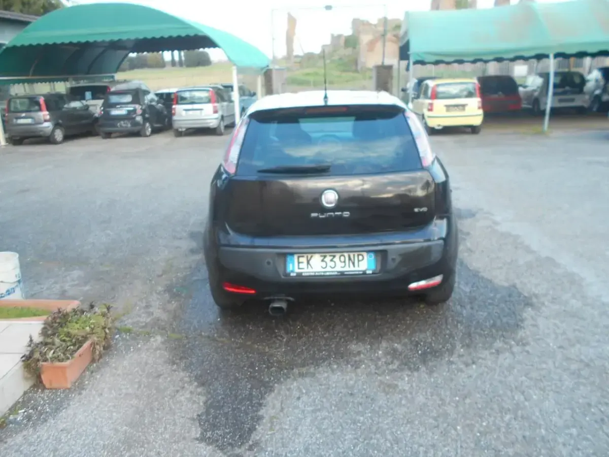 Usata Fiat Punto Evo Active 95 CV (69 kW) 2012 Nero Utilitaria