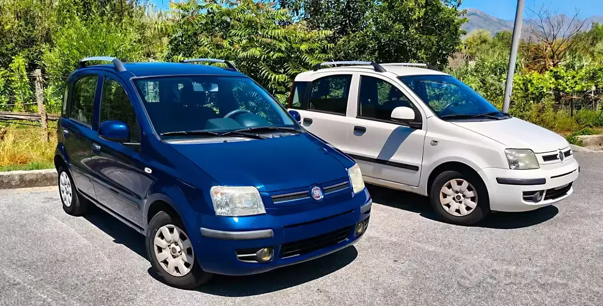 Usata Fiat Panda Dynamic 69 CV (50 kW) 2010 Utilitaria