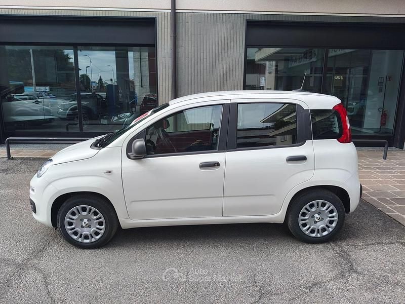 Nuova Fiat Panda Icon 71 CV (52 kW) 2026 Bianco Utilitaria