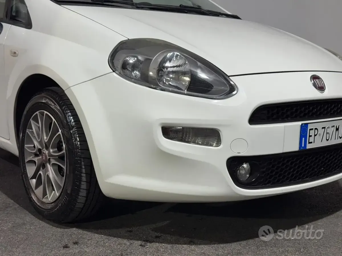 Usata Fiat Punto Lounge 75 CV (55 kW) 2013 Bianco Utilitaria