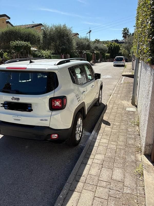 Usata Jeep Renegade 120 CV (88 kW) 2019 Bianco SUV