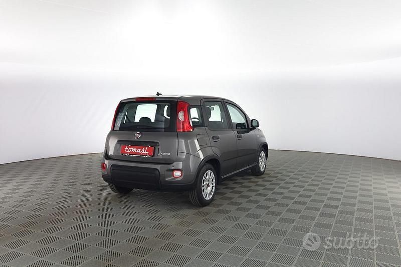 Usata Fiat Panda S 69 CV (50 kW) 2023 Grigio Utilitaria