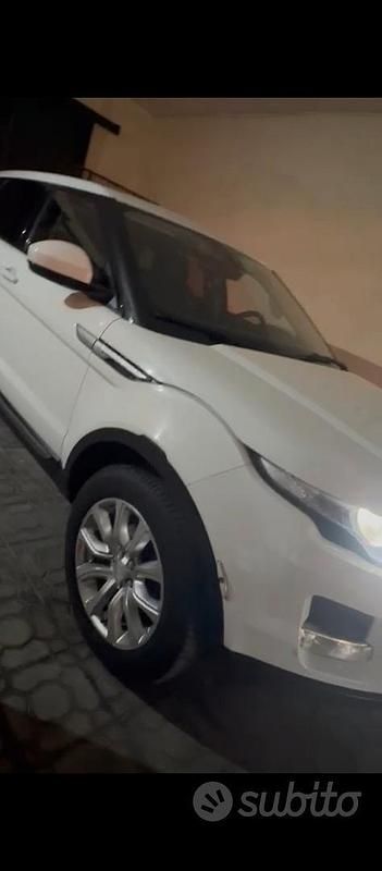 Usata Land Rover Range Rover evoque 150 CV (110 kW) 2014 Bianco SUV