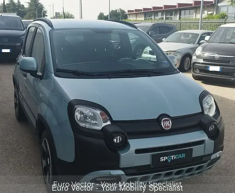 Usata Fiat Panda Cross Cross 69 CV (50 kW) 2020 Utilitaria