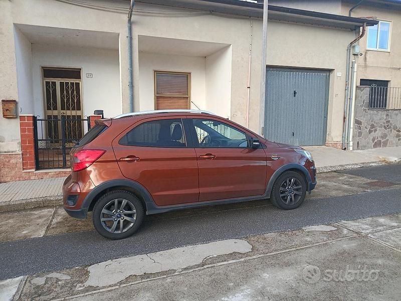 Usata Ford Ka Plus Active 90 CV (66 kW) 2018 Marrone Utilitaria