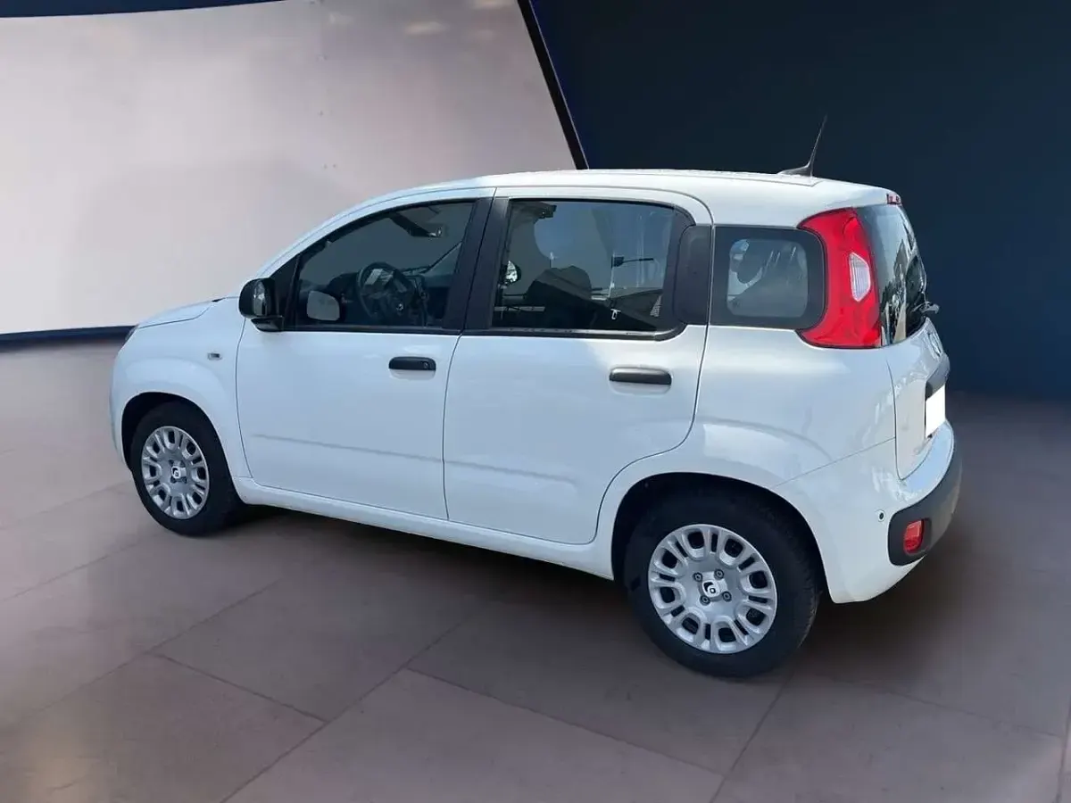 Usata Fiat Panda 69 CV (50 kW) 2025 Bianco Utilitaria