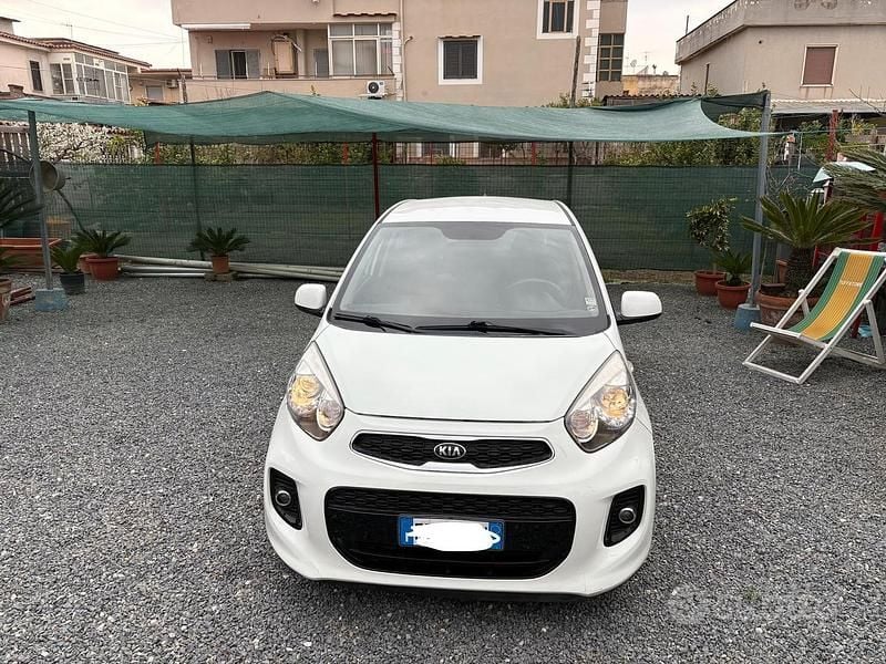 Usata Kia Picanto 2016 Bianco Utilitaria