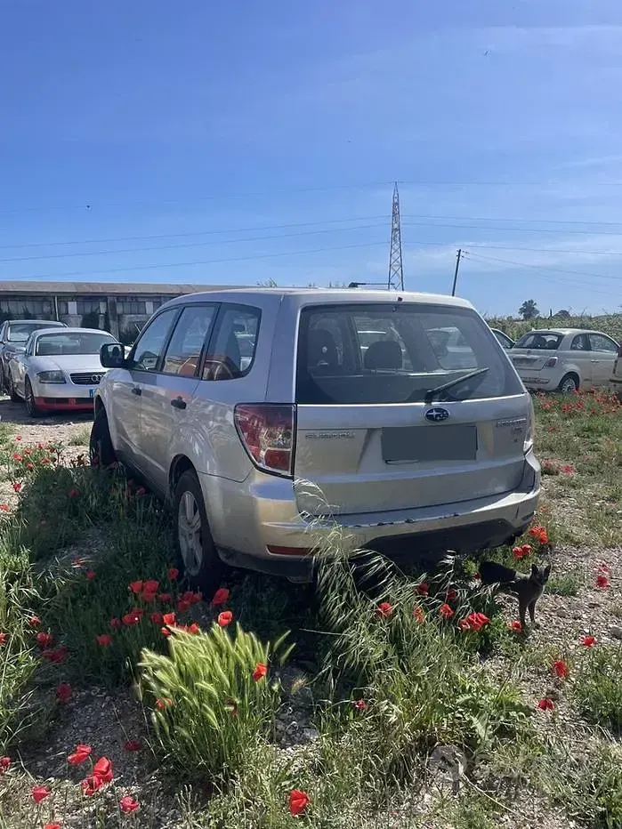 Usata Subaru Forester 147 CV (108 kW) 2009 Grigio SUV