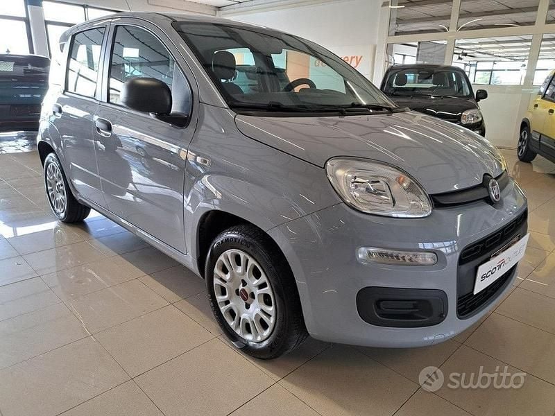 Usata Fiat Panda Easy 69 CV (50 kW) 2018 Grigio Utilitaria