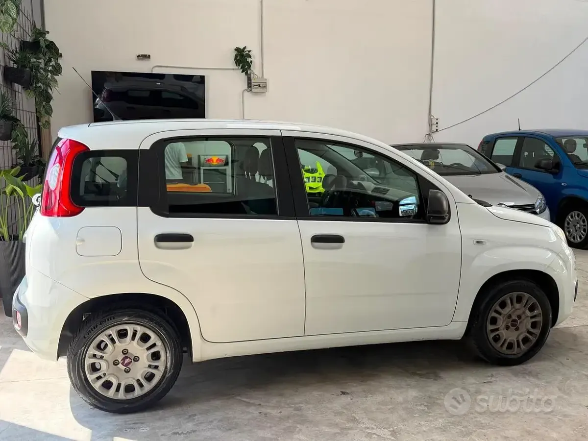 Usata Fiat Panda Lounge 69 CV (50 kW) 2015 Bianco Utilitaria