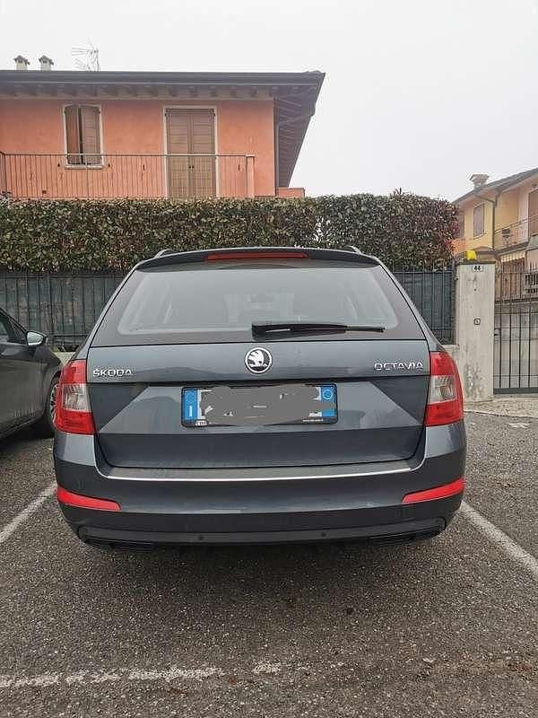 Usata Skoda Octavia Ambition 110 CV (80 kW) 2017 Station wagon