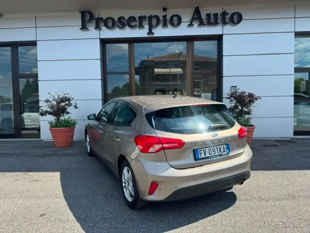 Usata Ford Focus Business Edition 120 CV (88 kW) 2019 Grigio Berlina
