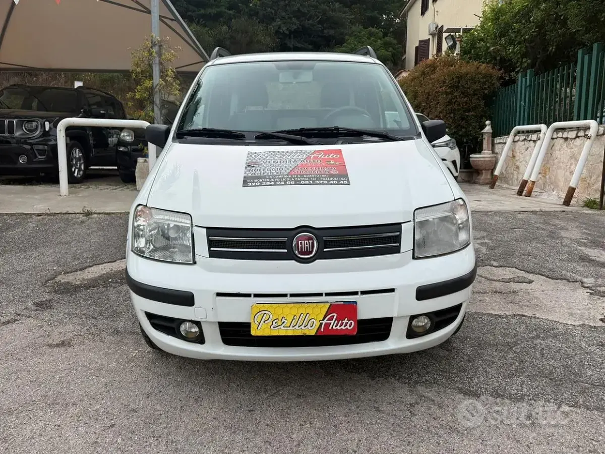 Usata Fiat Panda Dynamic 60 CV (44 kW) 2007 Bianco Utilitaria