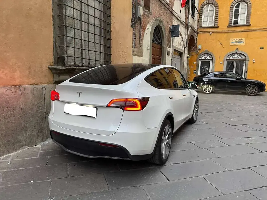 Usata Tesla Model Y RWD 88 kW (120 CV) 2023 Bianco SUV