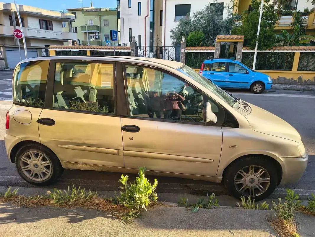 Usata Fiat Multipla Dynamic 120 CV (88 kW) 2007 Monovolume