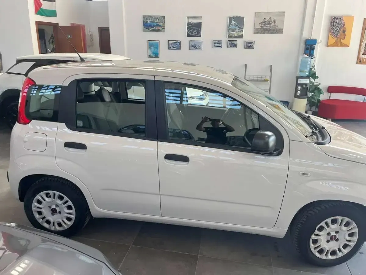 Usata Fiat Panda Young 69 CV (50 kW) 2017 Beige Utilitaria