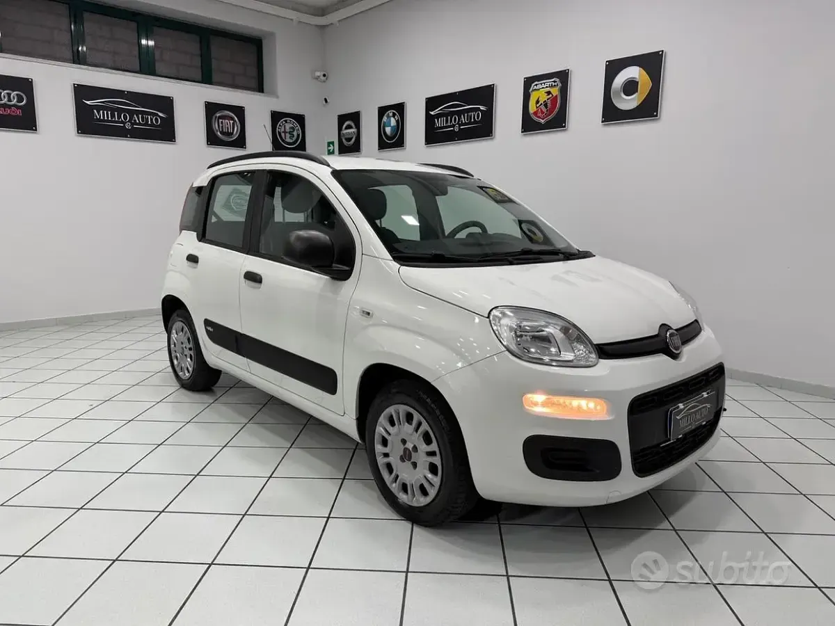 Usata Fiat Panda Easy 69 CV (50 kW) 2019 Bianco Utilitaria