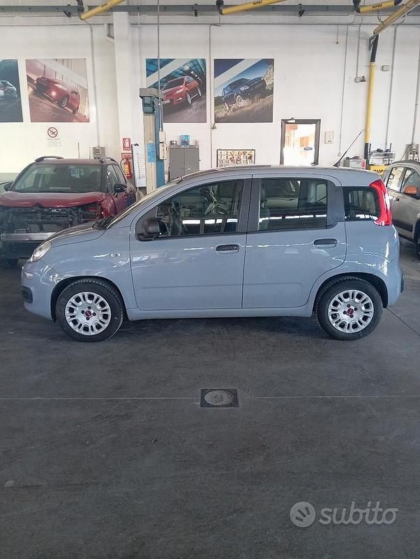Usata Fiat Panda Easy 69 CV (50 kW) 2019 Grigio Utilitaria