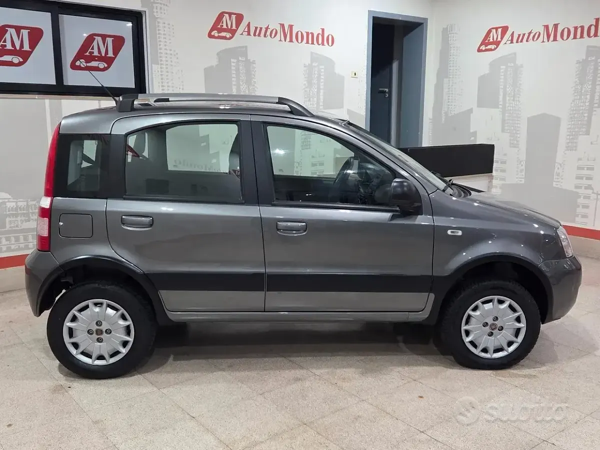 Usata Fiat Panda 4x4 Climbing 75 CV (55 kW) 2012 Grigio Utilitaria