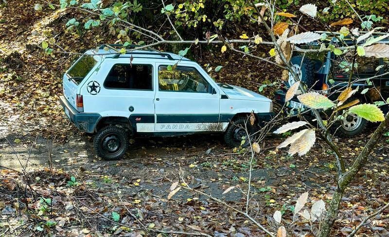 Usata Fiat Panda 4x4 54 CV (39 kW) 1996 Utilitaria
