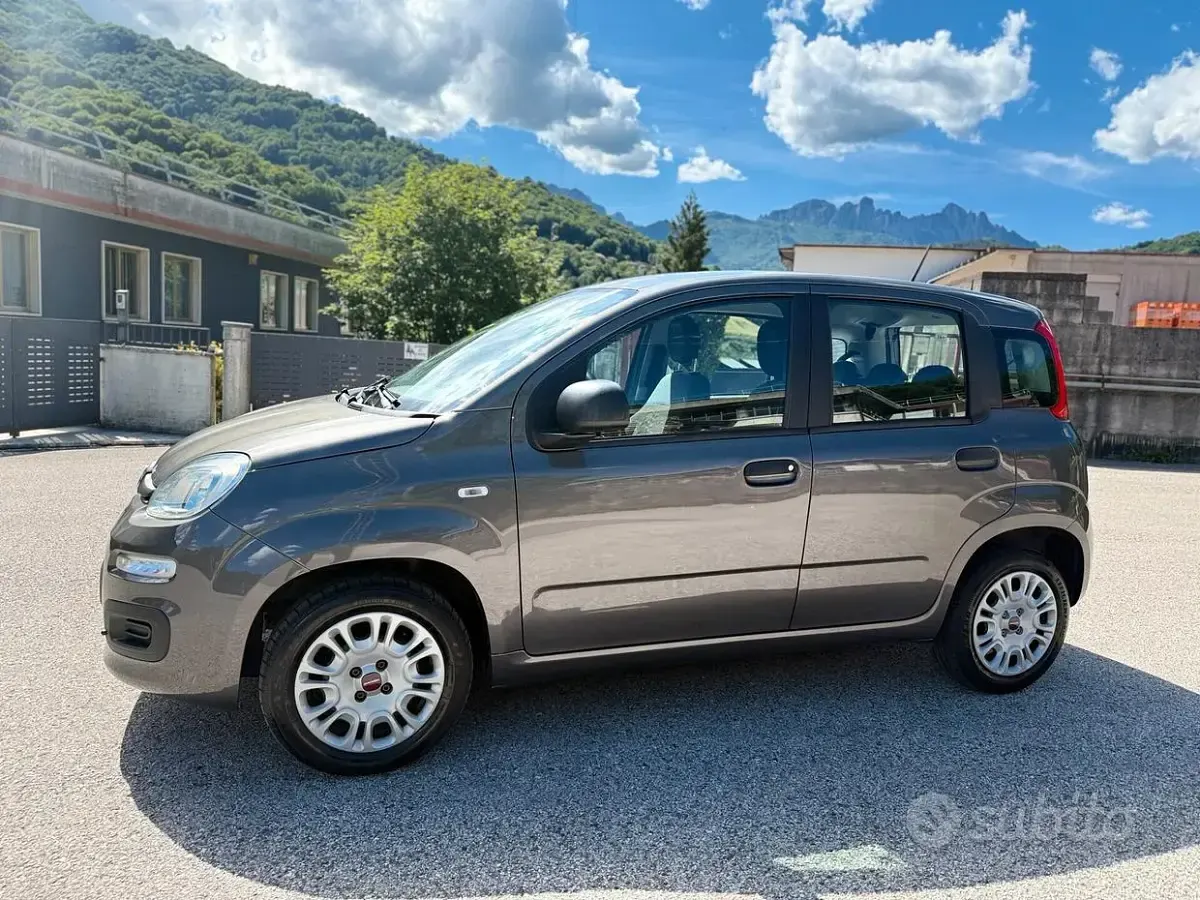 Usata Fiat Panda Easy 69 CV (50 kW) 2020 Grigio Utilitaria