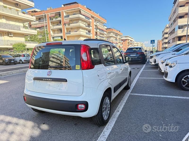 Usata Fiat Panda Lounge 69 CV (50 kW) 2015 Bianco Utilitaria