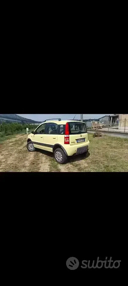 Usata Fiat Panda 4x4 60 CV (44 kW) 2006 Giallo Utilitaria