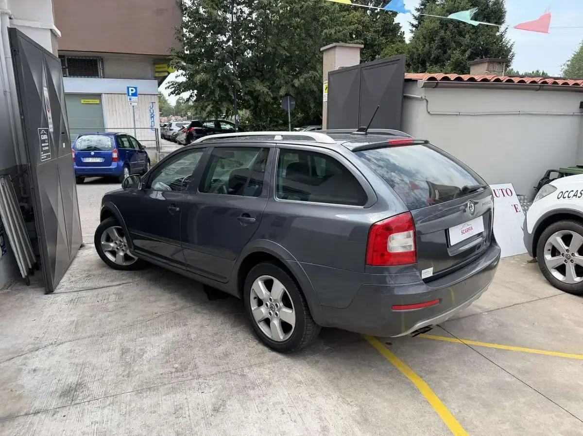 Usata Skoda Octavia Scout 4x4 160 CV (117 kW) 2009 Grigio Station wagon