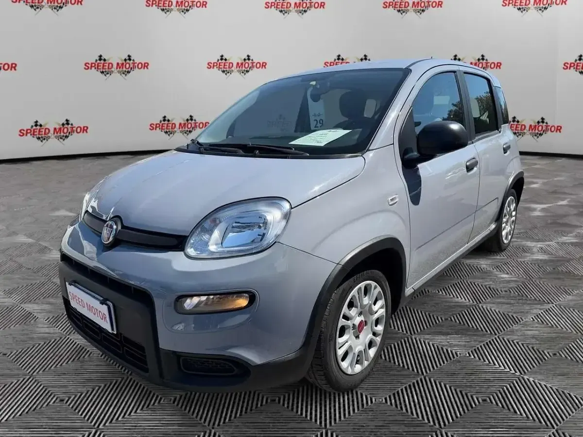 Usata Fiat Panda 69 CV (50 kW) 2023 Grigio Utilitaria