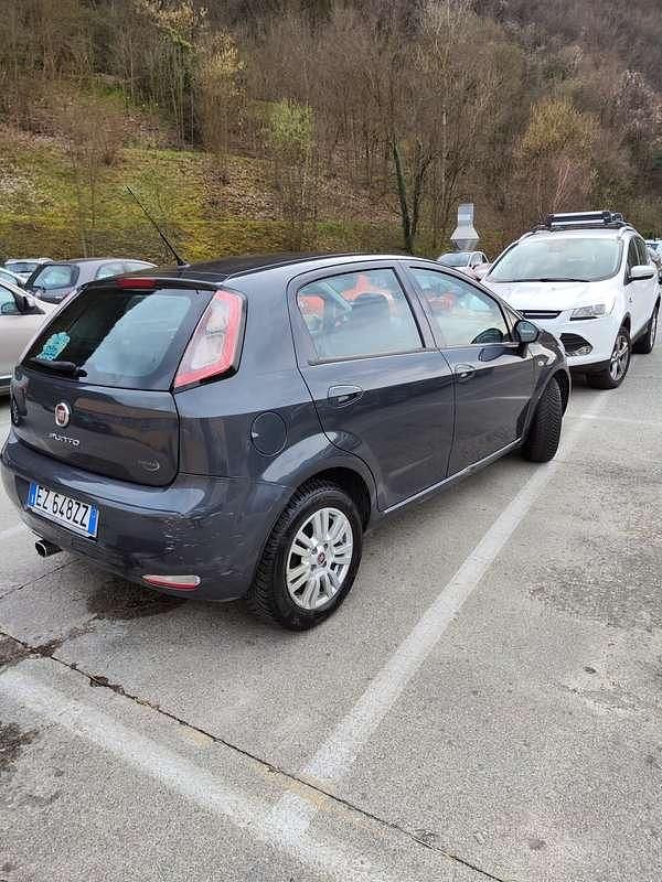 Usata Fiat Punto Lounge 75 CV (55 kW) 2015 Utilitaria