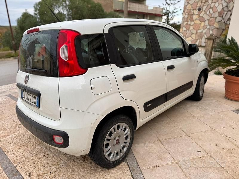 Usata Fiat Panda Easy 69 CV (50 kW) 2020 Bianco Utilitaria
