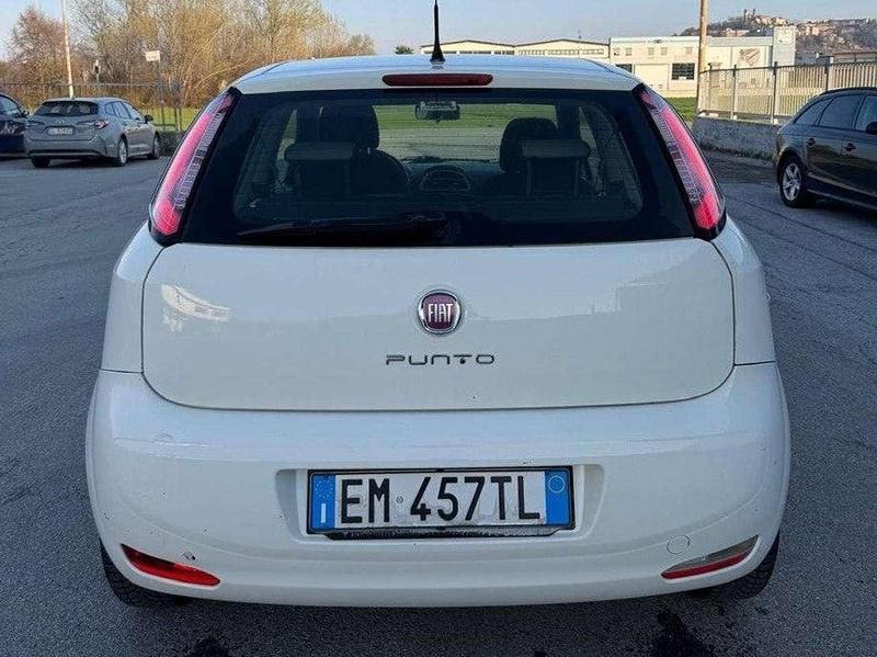Usata Fiat Punto Active 69 CV (50 kW) 2012 Other Utilitaria