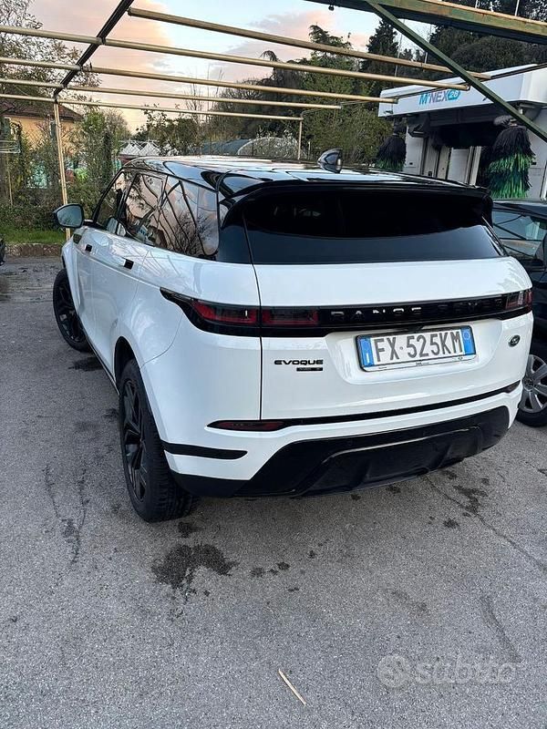 Usata Land Rover Range Rover evoque 150 CV (110 kW) 2019 Bianco SUV