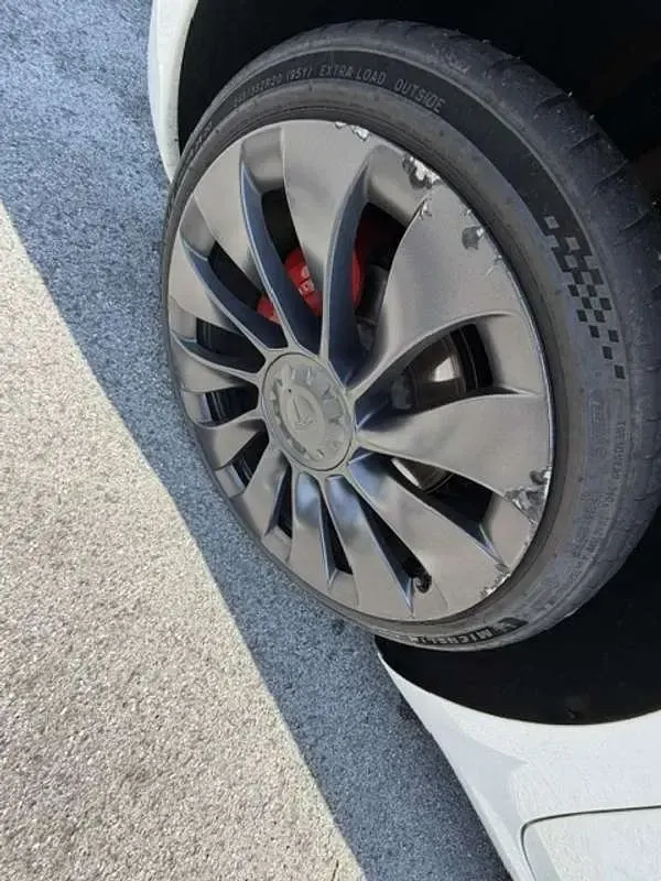 Usata Tesla Model 3 Performance 155 kW (211 CV) 2021 Bianco Berlina