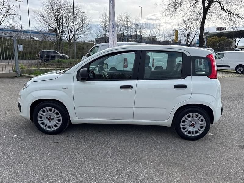 Usata Fiat Panda S 69 CV (50 kW) 2021 Bianco Utilitaria