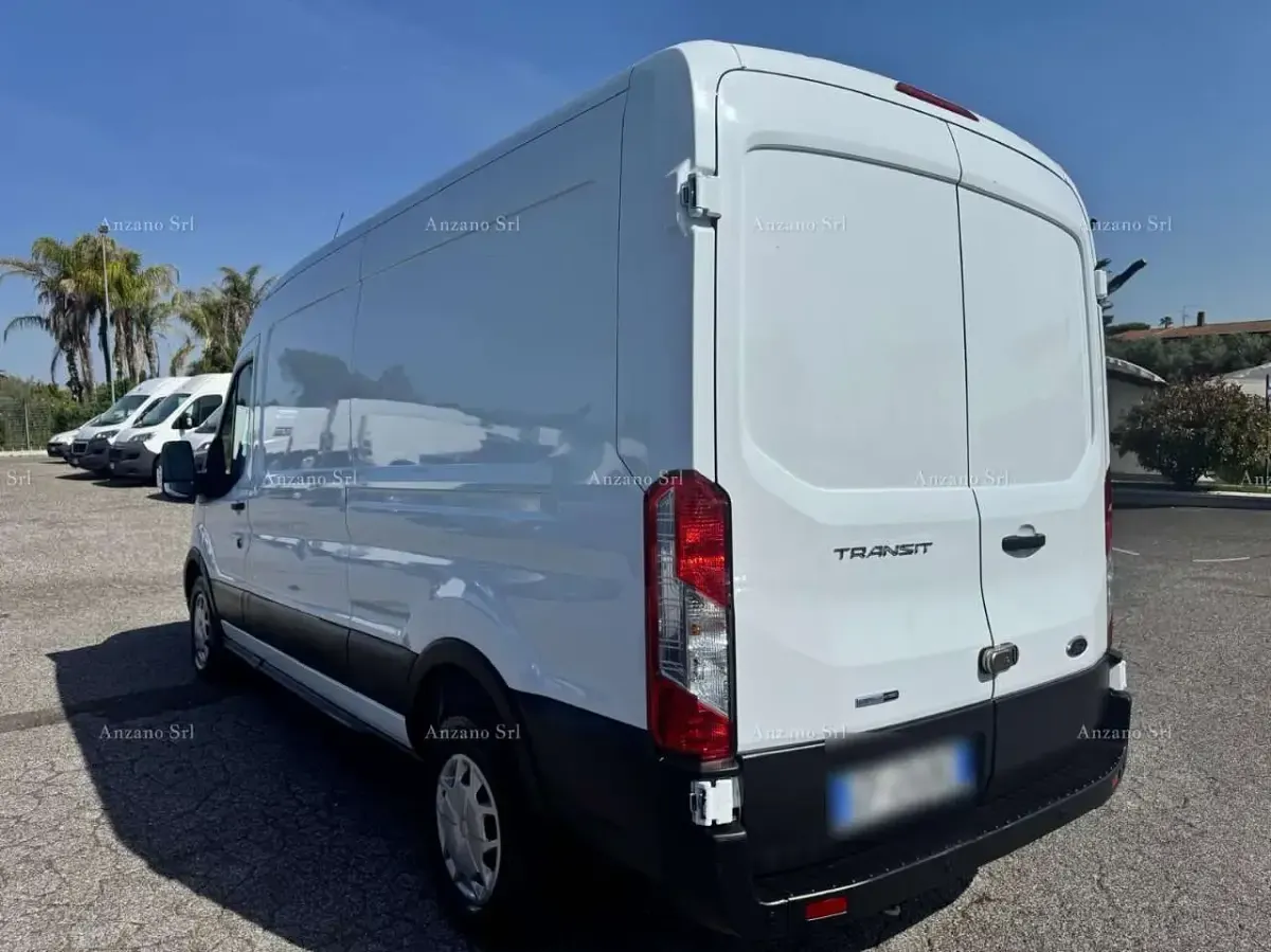 Usata Ford Transit Trend 131 CV (96 kW) 2023 Bianco Furgone