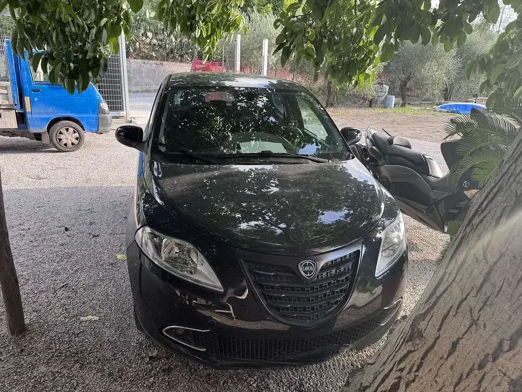 Usata Lancia Ypsilon S 95 CV (69 kW) 2014 Utilitaria