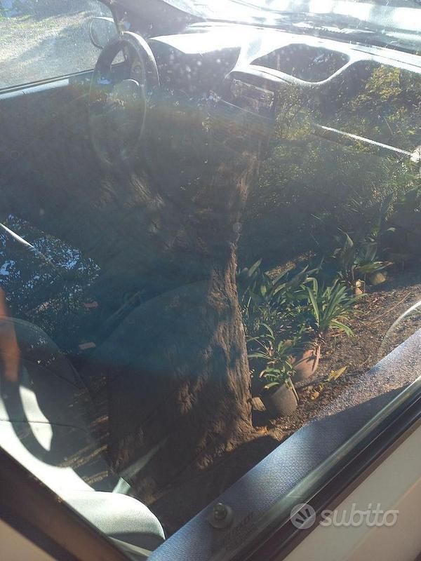 Usata Fiat Punto 60 CV (44 kW) 2001 Bianco Utilitaria