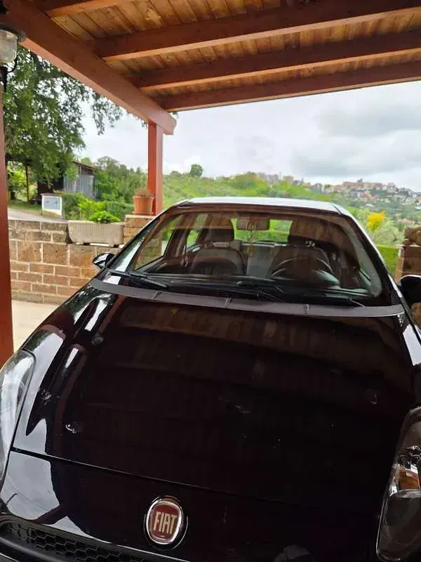 Usata Fiat Punto Easy 69 CV (50 kW) 2012 Nero Utilitaria