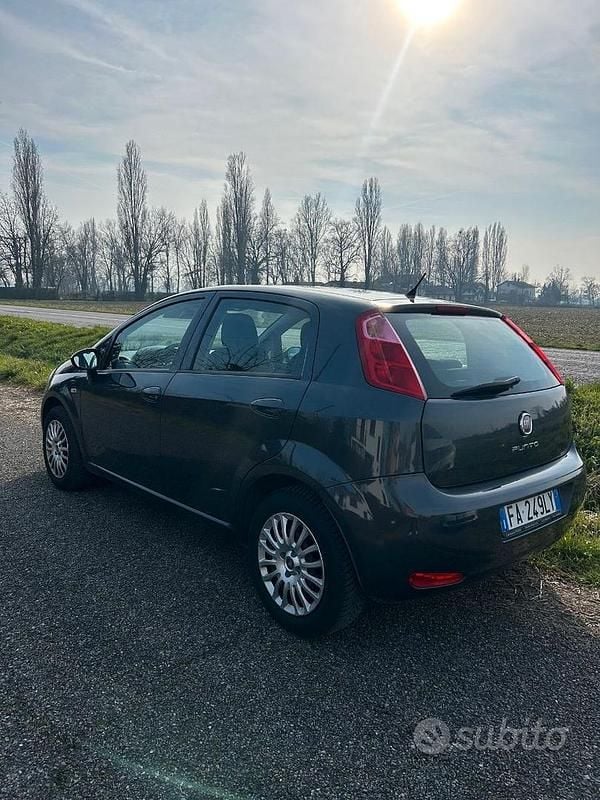 Usata Fiat Punto Lounge 69 CV (50 kW) 2015 Grigio Utilitaria