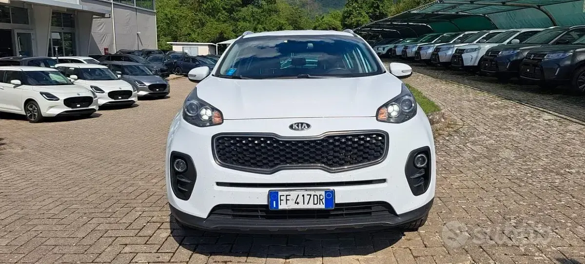 Usata Kia Sportage 115 CV (84 kW) 2017 Bianco SUV