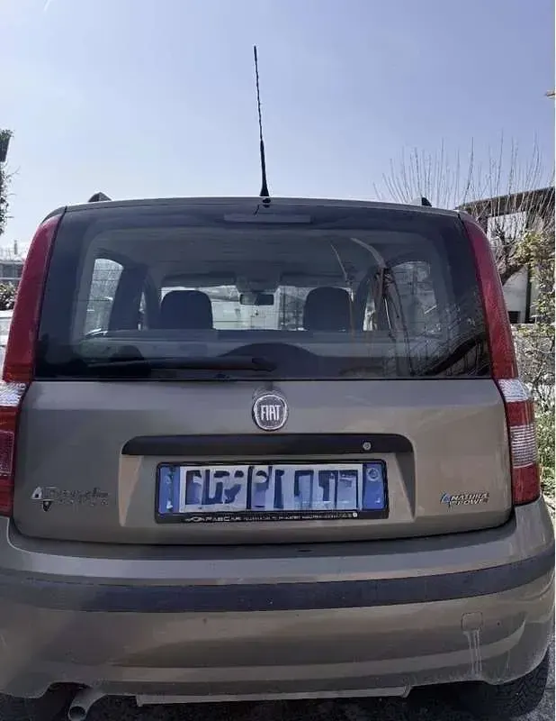 Usata Fiat Panda Dynamic 60 CV (44 kW) 2009 Marrone Utilitaria
